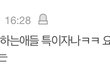 나는 그냥 서민재는 늦바람 든 거 같음