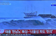 YTN 힌남노 오타