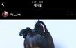아이브 리즈 까는애들 꼭봐.