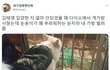 가방이 부러웠던 대형견