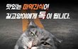 길고양이들 손 태우지 마세요.