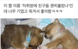 자취방에 친구 괜히 불렀나...?