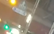 부산대 흰머리50대중후반60대초반