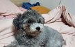 오늘의 톡