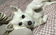 오늘의 톡