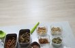 오늘의 톡