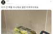 이끼 낀 벽돌 아니에요