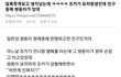 유치원생 조카가 쌍둥이 처음보고 한 말