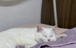 오늘의 톡