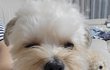사랑스런 남매둥이 : )
