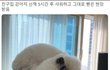 강아지 산책 5시간 후기