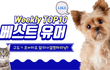 10월 4째주 베스트 유머 짤 영상 ㅋㅋㅋ