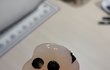 짱구의 미래!?