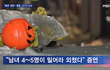 이태원 사건 가해자들을 '남녀'라고 방송한 MBN