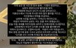 너네 야구선수 이태원 이거 봄?
