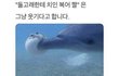 끼부리는거 다 들통났음 수치사할것같아ㅋㅋㅋ