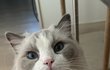 오늘의 톡