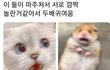 나 불륜 목격함ㅋㅋㅋㅋㅋ
