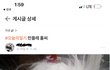 겨울에만 볼 수 있다는 민들레 홀씨.jpg