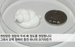 엔터톡
