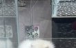 오늘의 톡