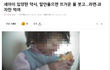 세아이 입양해서 학대한 약사 << 10년전 뉴스 아시는 분?