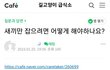 캣맘카페 왜이래??;;;