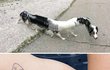 이런 타투는 좀...