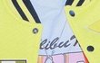 목걸이 정보 아시는분 ㅠㅠ
