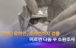 유아인 코카인 검출됐대