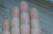 1000 억대 부자 손금