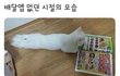 오늘의 톡
