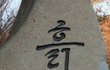 나는신이다 반박: 내가 경험한 섭리(jms)