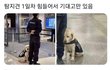 근무가 너무 힘든 1일차 신입