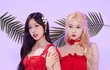 토끼랑고양이??????