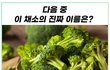 이 채소의 이름은?