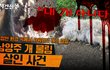 개는 죄가 없다ㅠ 인간이 문제일 뿐.. 내 강아지는 책임집시다!! ㅠㅠ