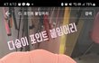 강아지 붙임머리 어떻게생각하세여?ㅜ