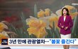 3년 만에 관광열차 재개…"노마스크 봄꽃 즐긴다"