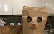 이걸 속아줘??말아??