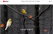 영부인 질 바이든 교육학 박 사 "Just be yourself(있는 그대로를 보여주라)" (4)