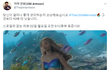 트위터RT 엄청 타는 <인어공주> 시사 후기