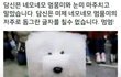 나 ㄹㅈ 어플에서 내 친구 봄...