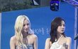 와 뭐임 에스파 연세대 아카라카 나왓네