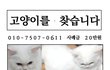 고양이를 찾습니다.