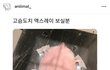 ??카리나 좋아요 누름