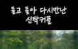 도깨비는 명작이야..