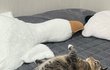오늘의 톡