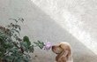 사진 찍을 수밖에 없었다구