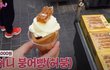 명동 길거리 음식 물가 근황